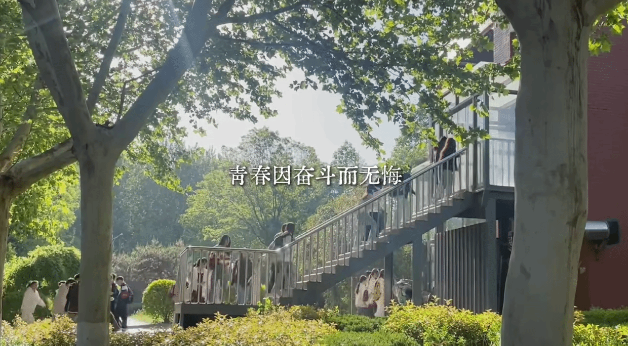 内部三码
